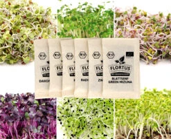 Keimsprossen Set Scharf (6 Sorten) | BIO Keimsprossen Sets Von FLORTUS -Pegasus Verkaufsgeschäft 554613 BIO Keimsprossen Set Scharf 6 Sorten 2000 0737 5