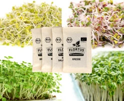 Keimsprossen Set Gesund (4 Sorten) | BIO Keimsprossen Sets Von FLORTUS -Pegasus Verkaufsgeschäft 554614 BIO Keimsprossen Set Gesund 4 Sorten 2000 0736 5