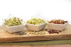 Keimsprossen Set Hülsenfrüchte (6 Sorten) | BIO Keimsprossen Sets Von FLORTUS -Pegasus Verkaufsgeschäft 554618 BIO Keimsprossen Set Huelsenfruechte 6 Sorten 2000 0732 4