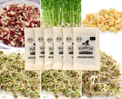 Keimsprossen Set Hülsenfrüchte (6 Sorten) | BIO Keimsprossen Sets Von FLORTUS -Pegasus Verkaufsgeschäft 554618 BIO Keimsprossen Set Huelsenfruechte 6 Sorten 2000 0732 5