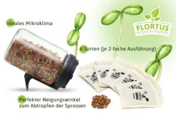 Keimsprossen Anzuchtset - Für Sprossenliebhaber (6 Sorten) | BIO Keimsprossen Sets Von FLORTUS 8 Keimsprossen Anzuchtset - Für Sprossenliebhaber (6 Sorten) | BIO Keimsprossen Sets Von FLORTUS -Pegasus Verkaufsgeschäft 554737 BIO Keimsprossen Anzuchtset Fuer Sprossenliebhaber 2000 0745 2