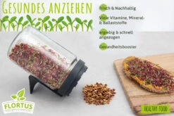 Keimsprossen Anzuchtset - Für Sprossenliebhaber (6 Sorten) | BIO Keimsprossen Sets Von FLORTUS