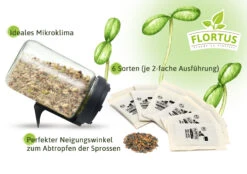 Keimsprossen Anzuchtset - Sprossen Mischungen (6 Sorten) | BIO Keimsprossen Sets Von FLORTUS -Pegasus Verkaufsgeschäft 554739 BIO Keimsprossen Anzuchtset Sprossen Mischungen 2000 0747 2