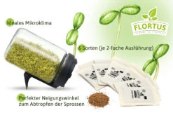 Keimsprossen Anzuchtset - Salat Grundlage (6 Sorten) | BIO Keimsprossen Sets Von FLORTUS -Pegasus Verkaufsgeschäft 554741 BIO Keimsprossen Anzuchtset Salat Grundlage 2000 0749 2