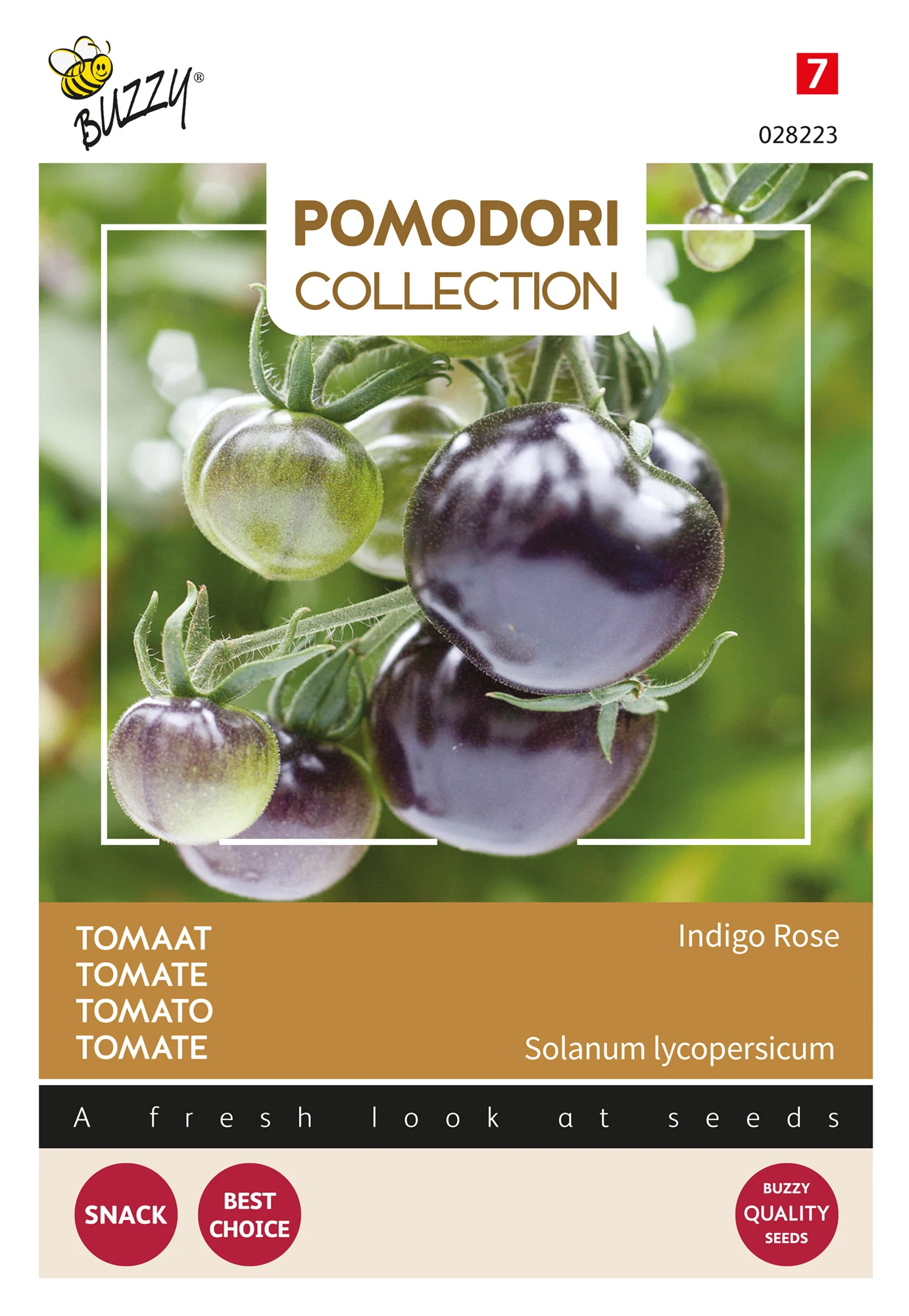 Tomate Pomodori Indigo Rose | Fleischtomatensamen Von Buzzy Seeds 4 Tomate Pomodori Indigo Rose | Fleischtomatensamen Von Buzzy Seeds – Bild 2