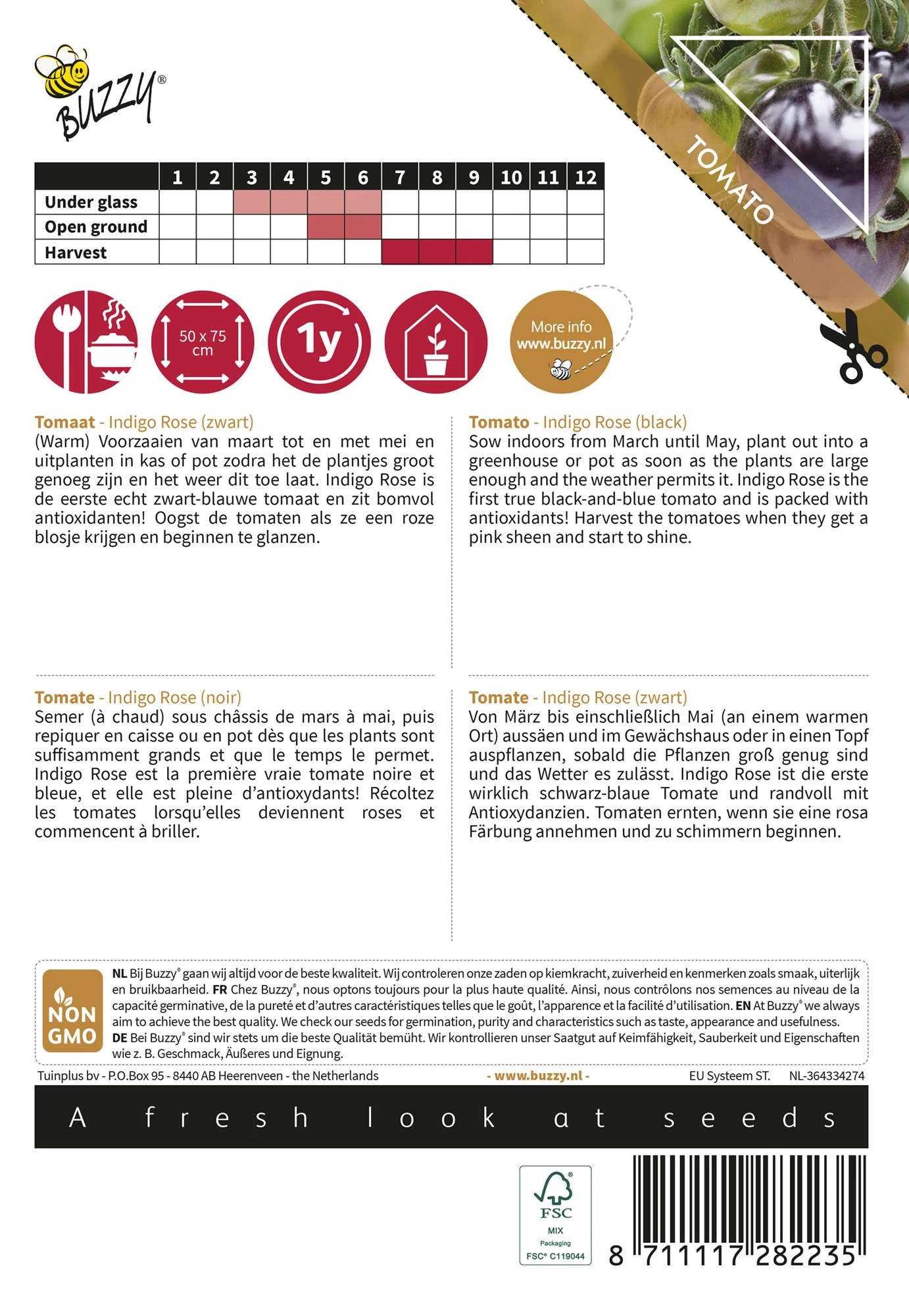 Tomate Pomodori Indigo Rose | Fleischtomatensamen Von Buzzy Seeds 3 Tomate Pomodori Indigo Rose | Fleischtomatensamen Von Buzzy Seeds