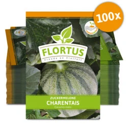 Zuckermelone Charentaise (100 Tütchen) | Zuckermelonensamen Von FLORTUS -Pegasus Verkaufsgeschäft 555107 Zuckermelone Charentais 100 Tuetchen 2000 0774 100x 0