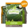 Wassermelone Sugar Baby (100 Tütchen) | BIO Wassermelonensamen Von FLORTUS -Pegasus Verkaufsgeschäft 555109 Wassermelone Sugar Baby 100 Tuetchen 2000 0776 100x 0