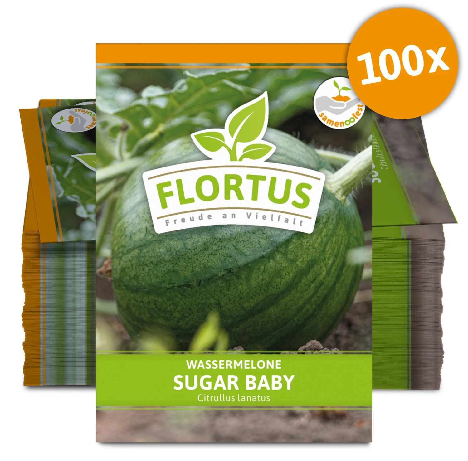 Wassermelone Sugar Baby (100 Tütchen) | BIO Wassermelonensamen Von FLORTUS 3 Wassermelone Sugar Baby (100 Tütchen) | BIO Wassermelonensamen Von FLORTUS