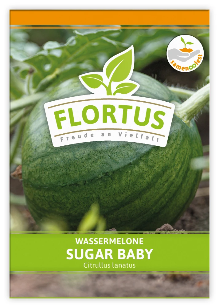 Wassermelone Sugar Baby (100 Tütchen) | BIO Wassermelonensamen Von FLORTUS 5 Wassermelone Sugar Baby (100 Tütchen) | BIO Wassermelonensamen Von FLORTUS – Bild 3