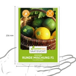 Zucchini Runde Mischung F1 | Zucchinisamen Von Samenhaus Saatzucht -Pegasus Verkaufsgeschäft 556224 Zucchini Runde Mischung F1 15 Korn 2000 0800 3