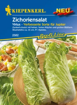 Zichoriensalat Virtus F1 | Zichoriensalatsamen Von Kiepenkerl -Pegasus Verkaufsgeschäft 559277 Zichoriensalat Virtus F1 2582 0