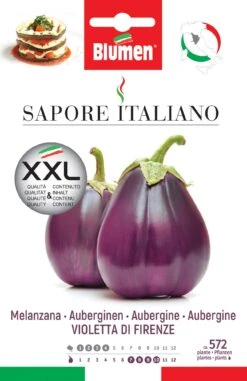 Auberginen Violetta Di Firenze | Auberginensamen Von BLUMEN Group