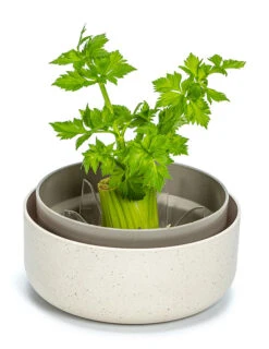 Pflanzschale ReGrow | Keimschalen Von Plastia