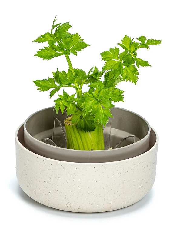 Pflanzschale ReGrow | Keimschalen Von Plastia 3 Pflanzschale ReGrow | Keimschalen Von Plastia