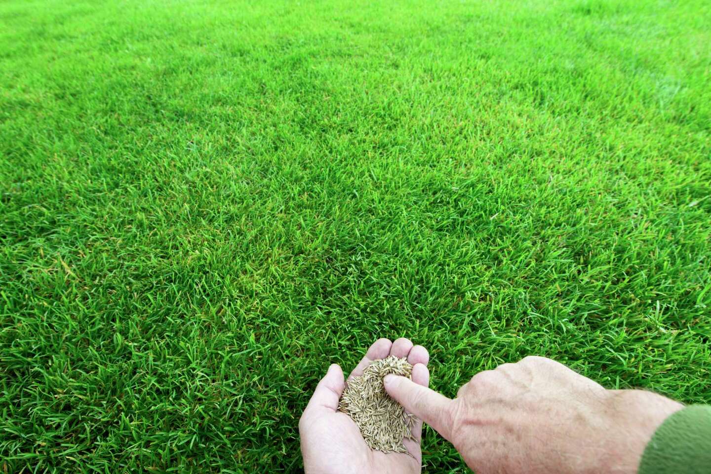 Titelseite 1 Titelseite -Pegasus Verkaufsgeschäft