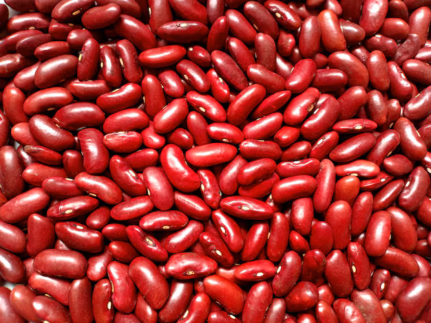 Titelseite 18 Titelseite -Pegasus Verkaufsgeschäft red kidney bean background texture 484521 68 1